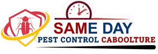 Same Daye Pest Control Caboolture